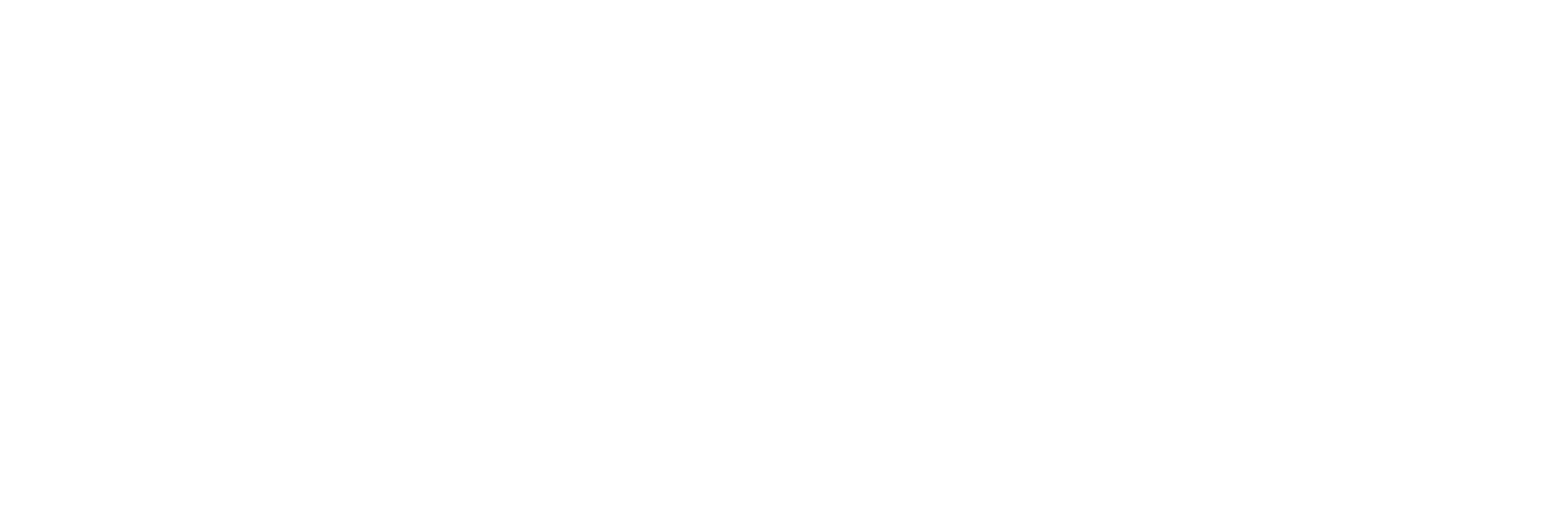 Optimice Service